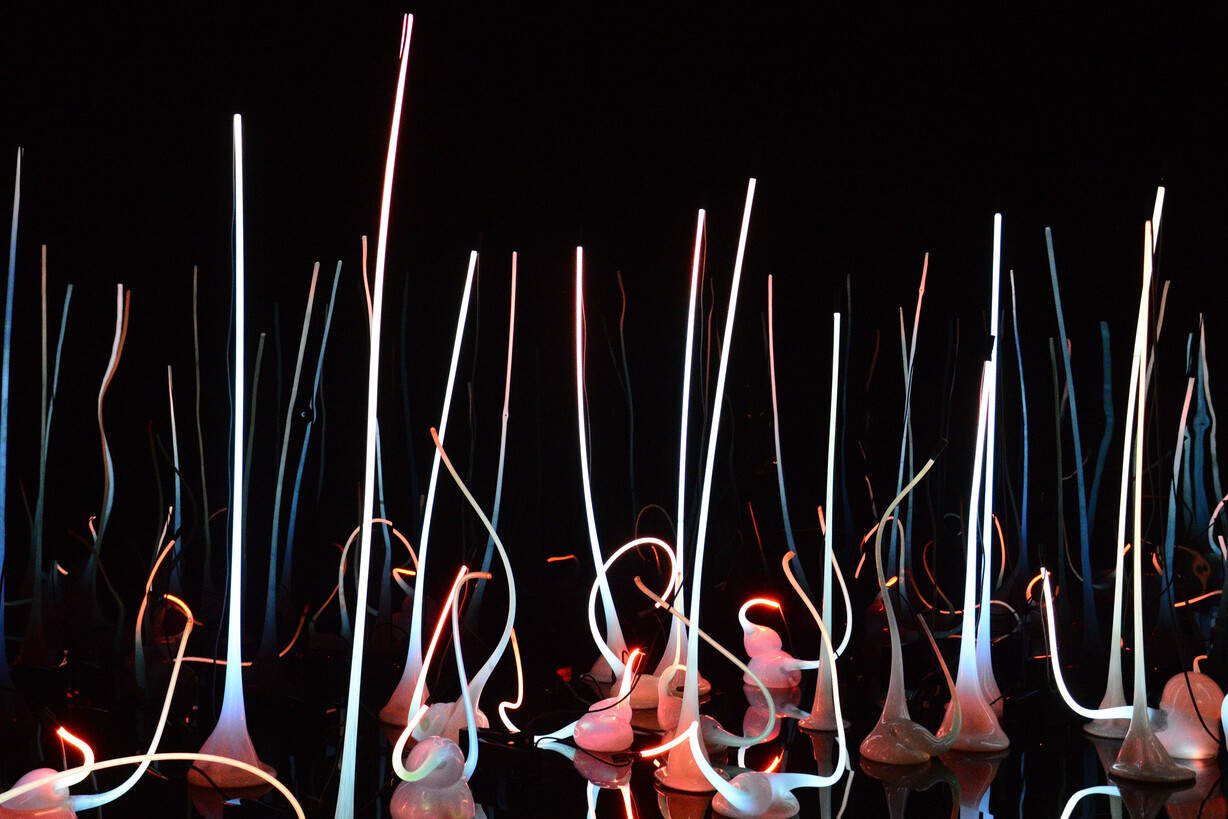 Chihuli - Seattle 2016