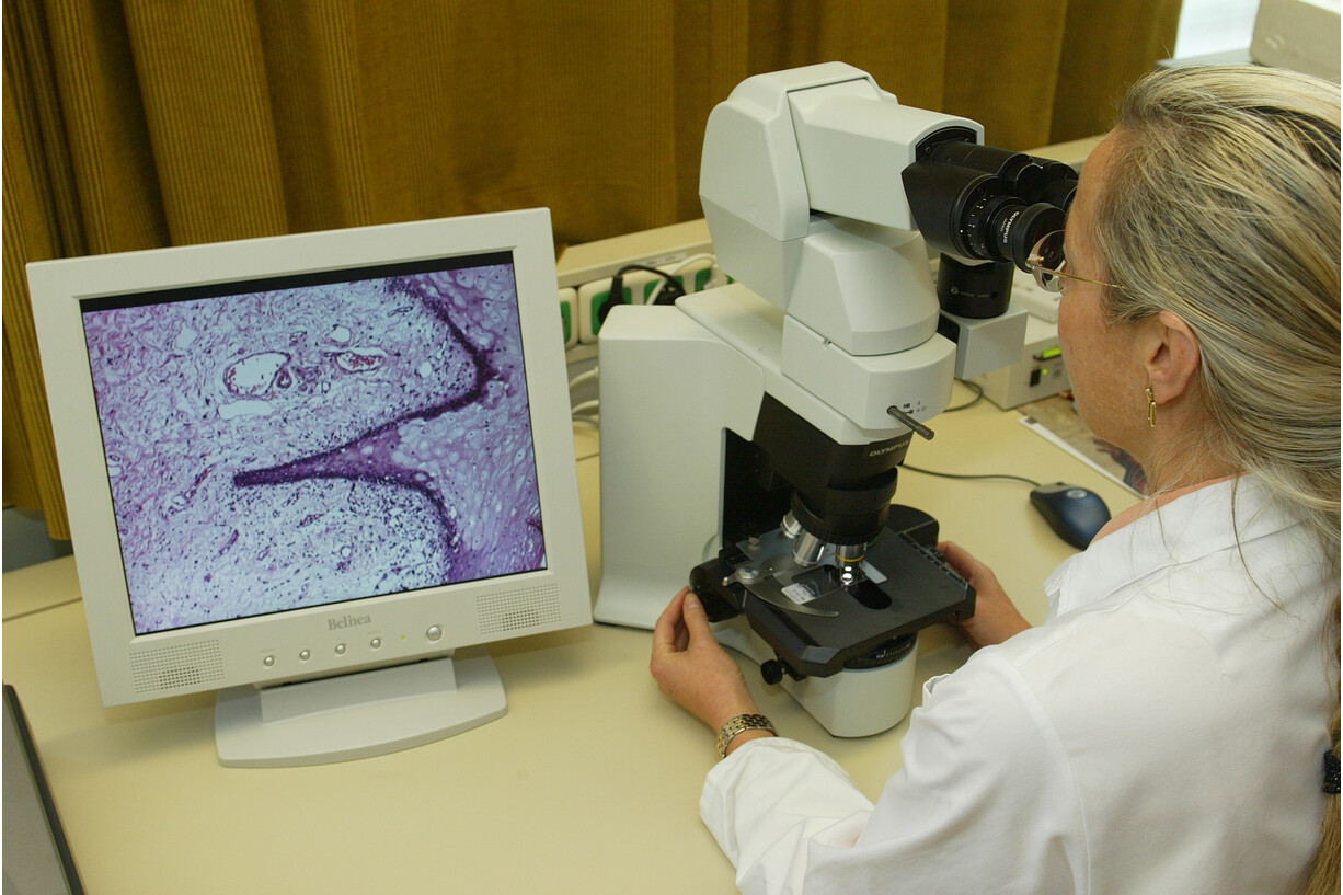 pathologist at work